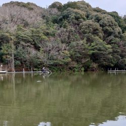 大型ブラウン連発！ ～岡崎トラウトポンド～